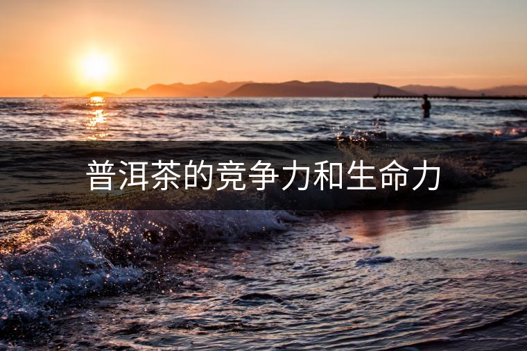 普洱茶的競(jìng)爭(zhēng)力和生命力 普洱茶的競(jìng)爭(zhēng)力和生命力