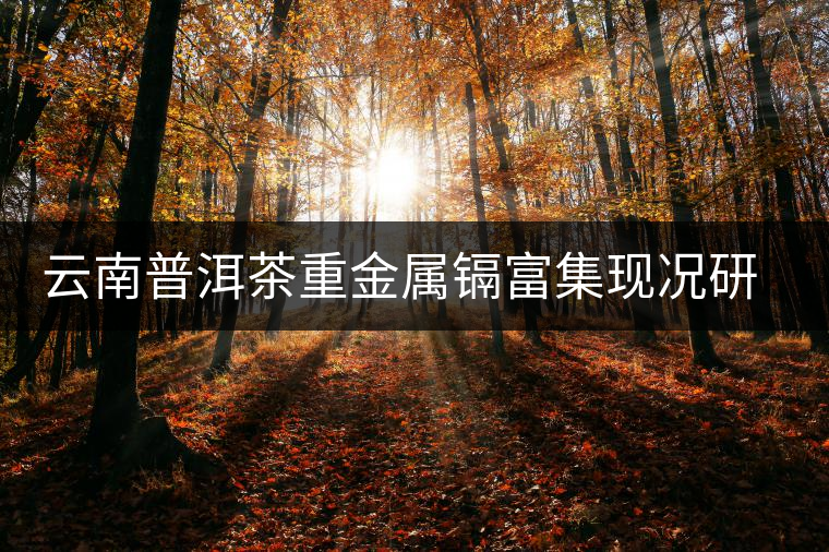 云南普洱茶重金屬鎘富集現(xiàn)況研究 云南普洱茶重金屬鎘富集現(xiàn)況研究