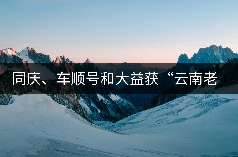 同慶、車順號(hào)和大益獲“云南老字號(hào)”稱號(hào)
