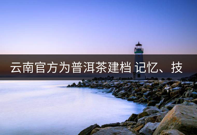 云南官方為普洱茶建檔 記憶、技藝雙傳承