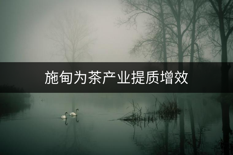 施甸為茶產(chǎn)業(yè)提質增效 施甸為茶產(chǎn)業(yè)提質增效