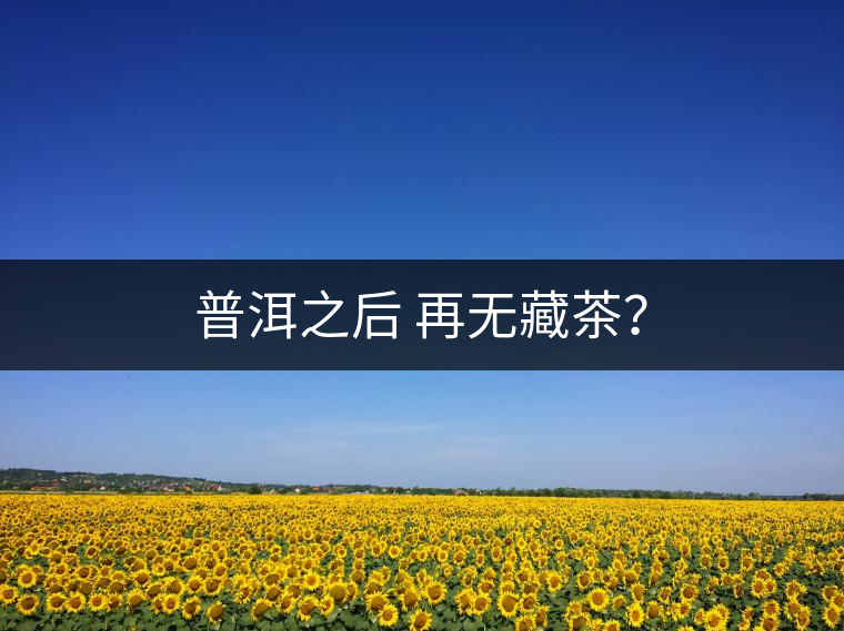 普洱之后 再無藏茶？