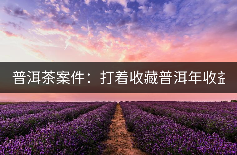 普洱茶案件：打著收藏普洱年收益不低于16%，非法吸收公眾存款