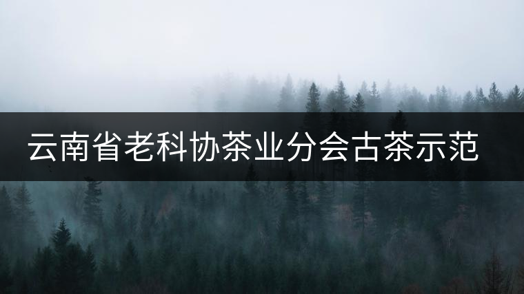 云南省老科協(xié)茶業(yè)分會古茶示范園實施建檔保護 云南省老科協(xié)茶業(yè)分會古茶示范園實施建檔保護