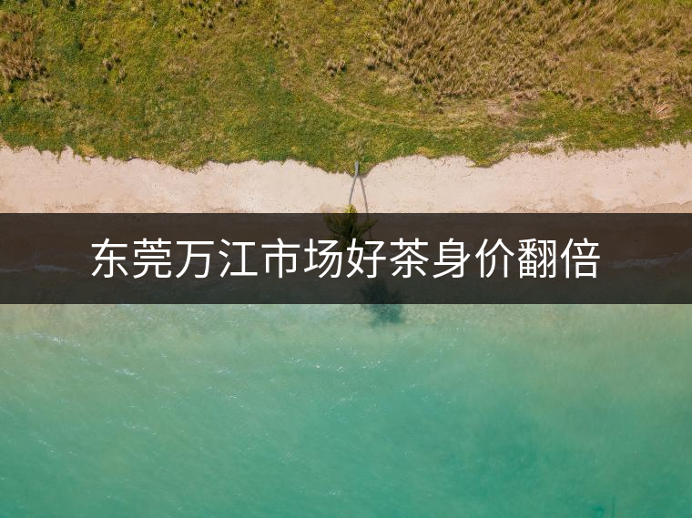 東莞萬江市場(chǎng)好茶身價(jià)翻倍