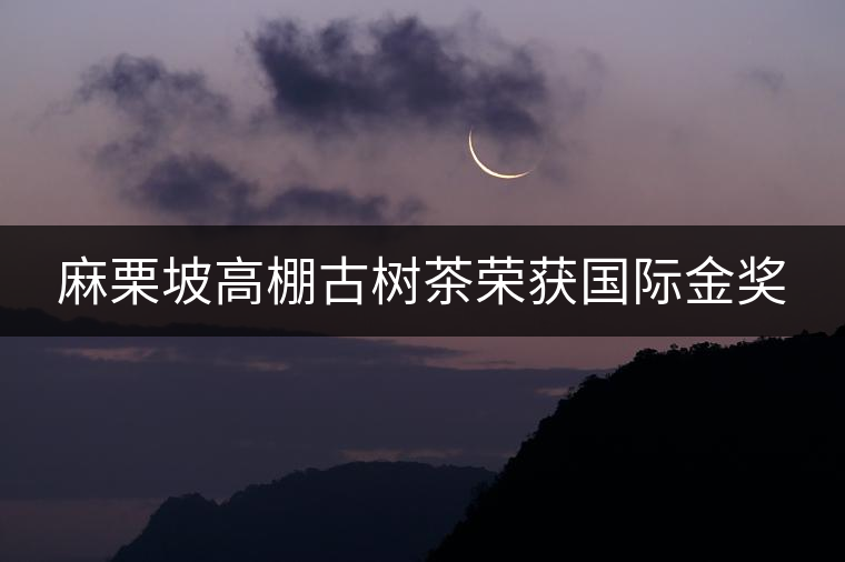 麻栗坡高棚古樹茶榮獲國際金獎 麻栗坡高棚古樹茶榮獲國際金獎