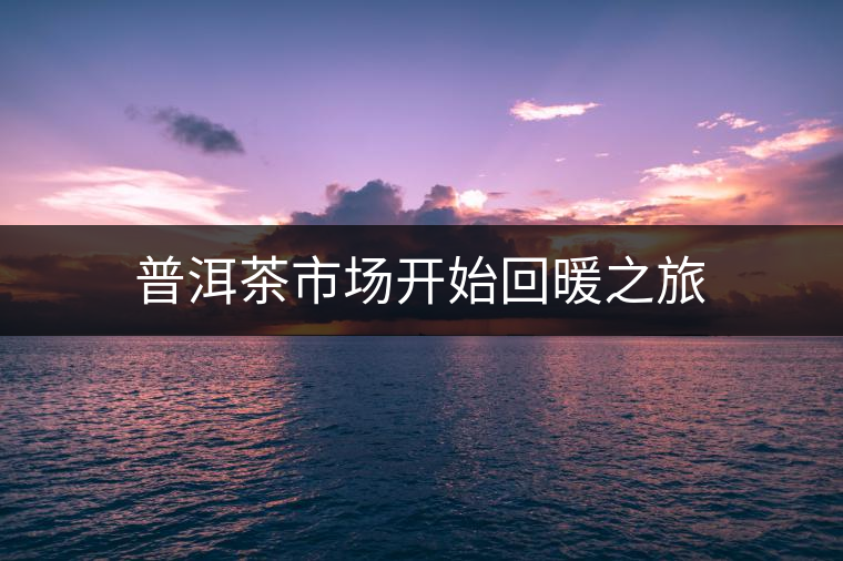 普洱茶市場開始回暖之旅