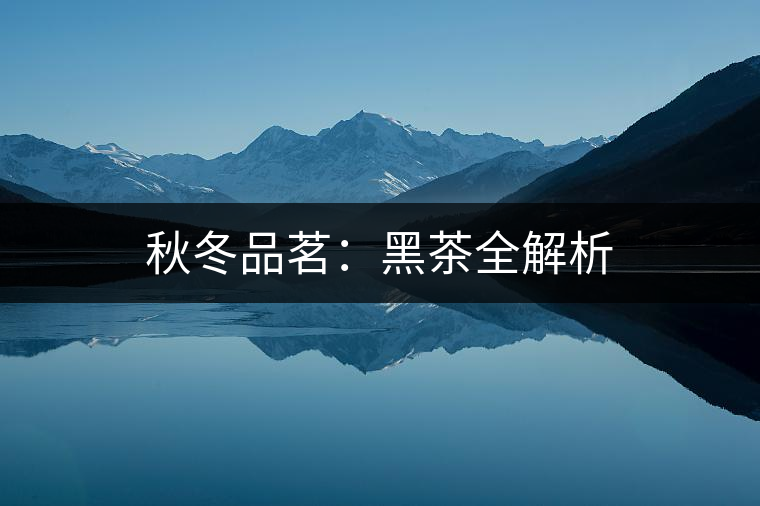 秋冬品茗:黑茶全解析 秋冬品茗:黑茶全解析