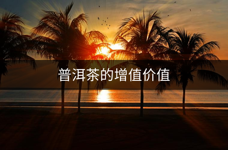 普洱茶的增值價值