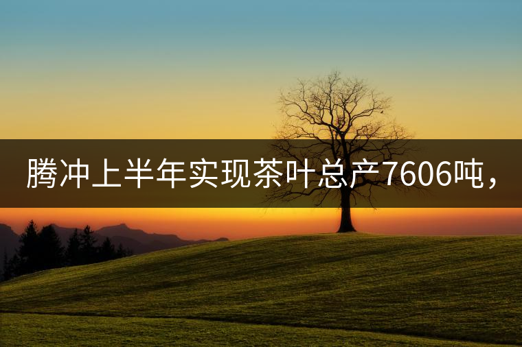 騰沖上半年實現(xiàn)茶葉總產7606噸，總產值5.58億元