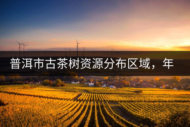 普洱市古茶樹資源分布區(qū)域，年產(chǎn)量多少?