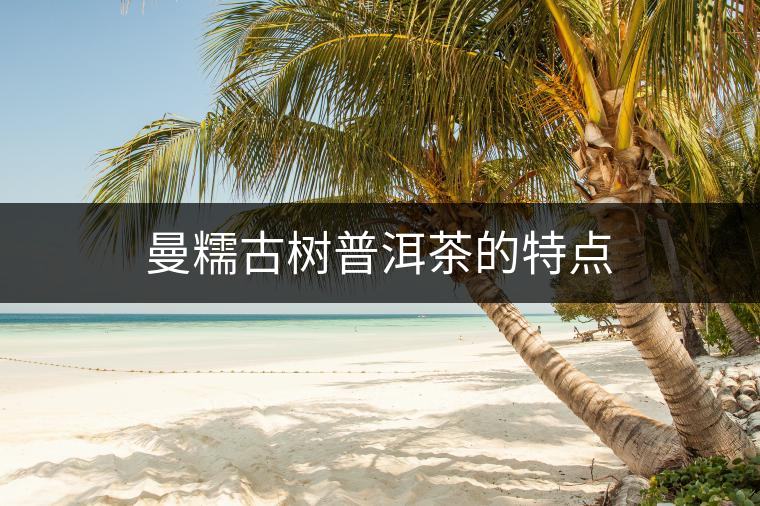 曼糯古樹普洱茶的特點