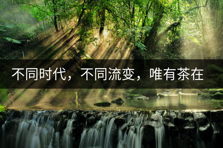 不同時(shí)代，不同流變，唯有茶在傳承