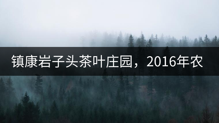 鎮(zhèn)康巖子頭茶葉莊園，2016年農(nóng)業(yè)產(chǎn)值達(dá)6000余萬元