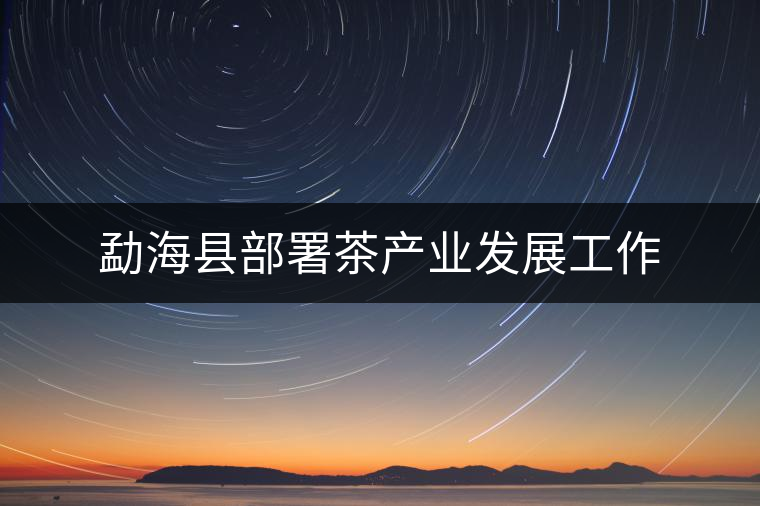 勐?？h部署茶產(chǎn)業(yè)發(fā)展工作