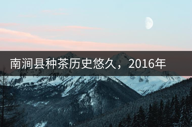南澗縣種茶歷史悠久，2016年被評為全國十大生態(tài)產(chǎn)茶縣