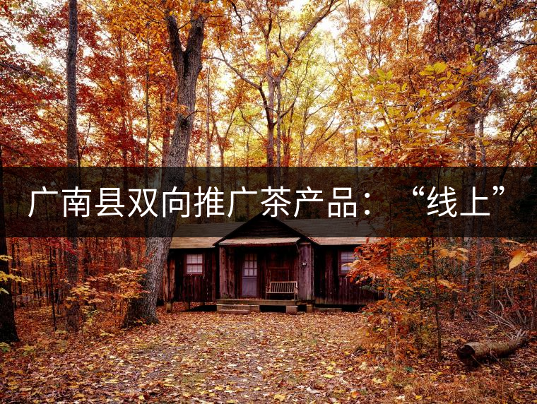 廣南縣雙向推廣茶產(chǎn)品：“線上”銷售茶葉已有100多家，“線下”銷售額已達(dá)百萬