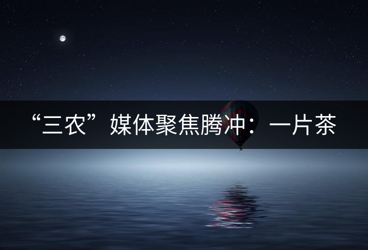 “三農(nóng)”媒體聚焦騰沖：一片茶葉寫就脫貧及茶葉品牌的塑造