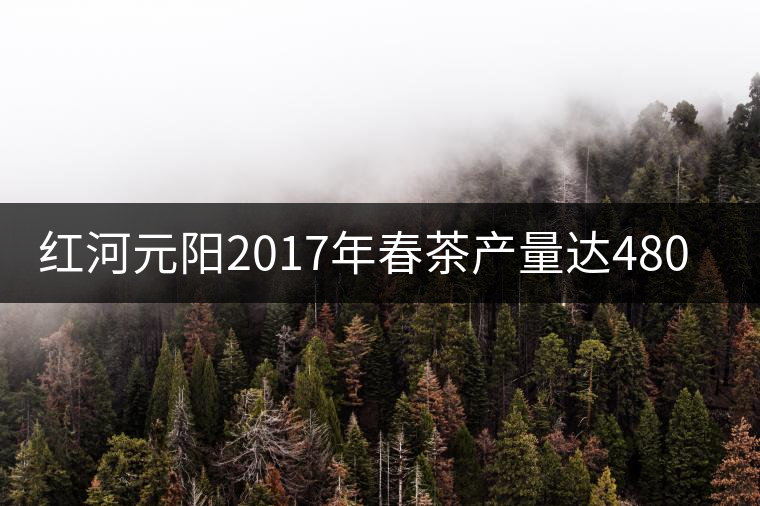 紅河元陽2017年春茶產(chǎn)量達(dá)480噸，產(chǎn)值近900萬元