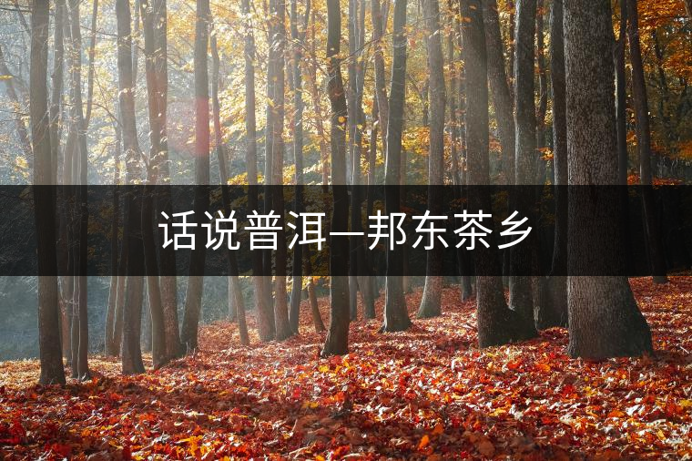 話(huà)說(shuō)普洱—邦東茶鄉(xiāng) 話(huà)說(shuō)普洱—邦東茶鄉(xiāng)