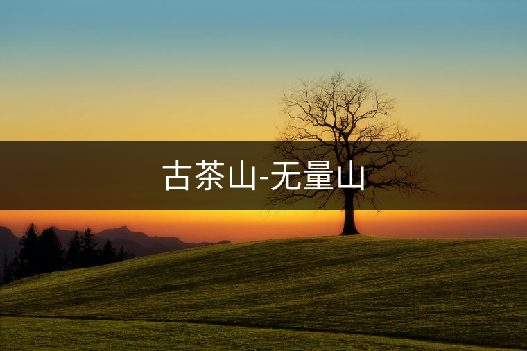 古茶山-無量山 古茶山-無量山