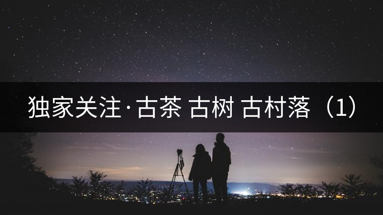 獨(dú)家關(guān)注·古茶 古樹(shù) 古村落(1) 獨(dú)家關(guān)注·古茶 古樹(shù) 古村落(1)