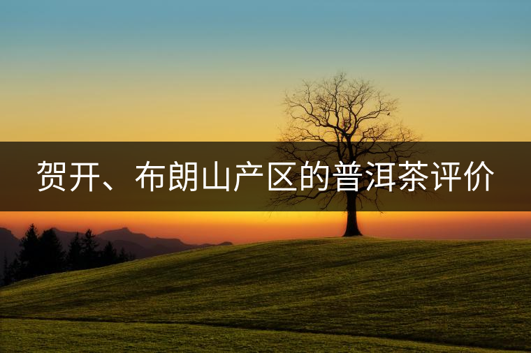賀開、布朗山產(chǎn)區(qū)的普洱茶評價(jià)