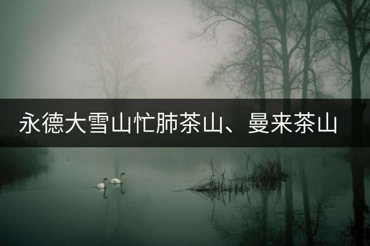 永德大雪山忙肺茶山、曼來茶山、放牛場茶園的生態(tài)指數(shù)