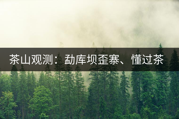 茶山觀測：勐庫壩歪寨、懂過茶山、大戶寨等茶山的生態(tài)指數(shù)