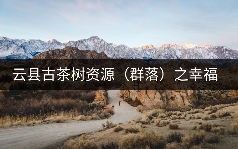 云縣古茶樹(shù)資源(群落)之幸福鎮(zhèn)大宗山 云縣古茶樹(shù)資源(群落)之幸福鎮(zhèn)大宗山