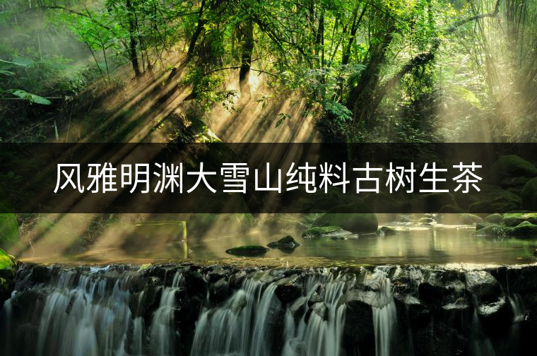 風(fēng)雅明淵大雪山純料古樹生茶