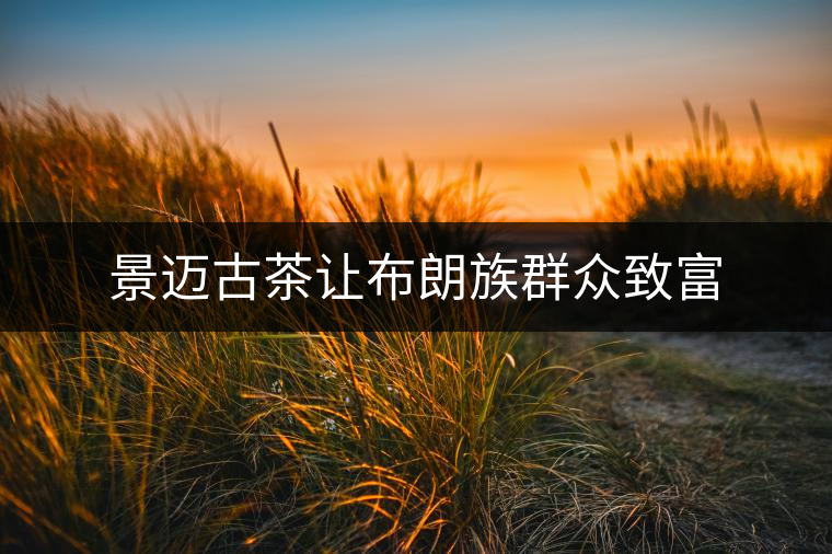 景邁古茶讓布朗族群眾致富 景邁古茶讓布朗族群眾致富