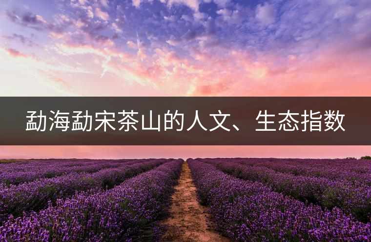 勐海勐宋茶山的人文、生態(tài)指數(shù)