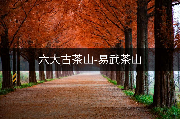 六大古茶山-易武茶山