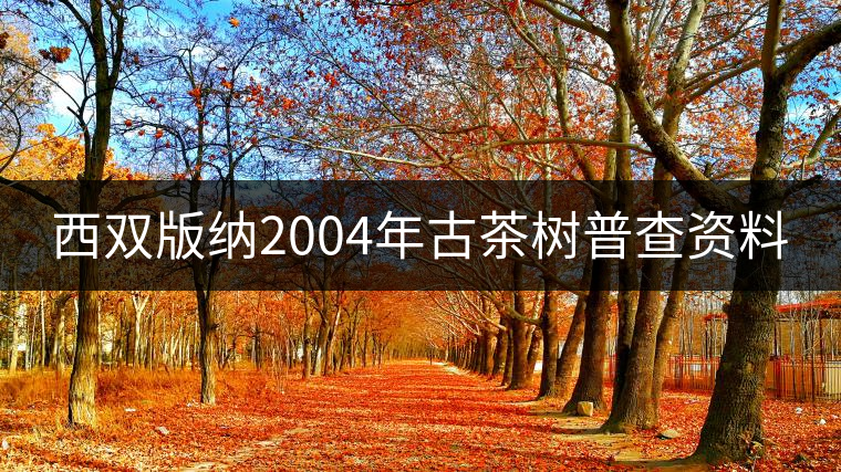 西雙版納2004年古茶樹(shù)普查資料