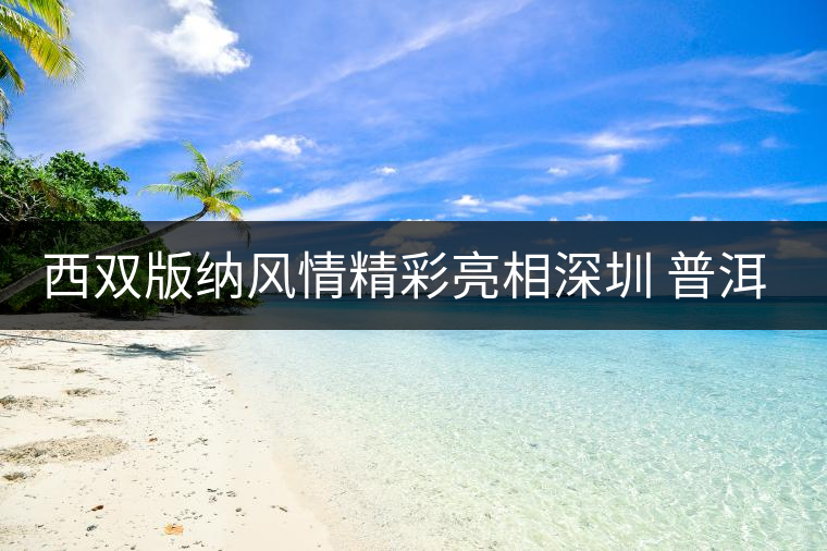 西雙版納風(fēng)情精彩亮相深圳 普洱茶成亮點 西雙版納風(fēng)情精彩亮相深圳 普洱茶成亮點
