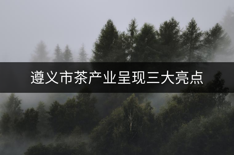 遵義市茶產(chǎn)業(yè)呈現(xiàn)三大亮點 遵義市茶產(chǎn)業(yè)呈現(xiàn)三大亮點