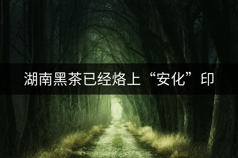 湖南黑茶已經(jīng)烙上“安化”印