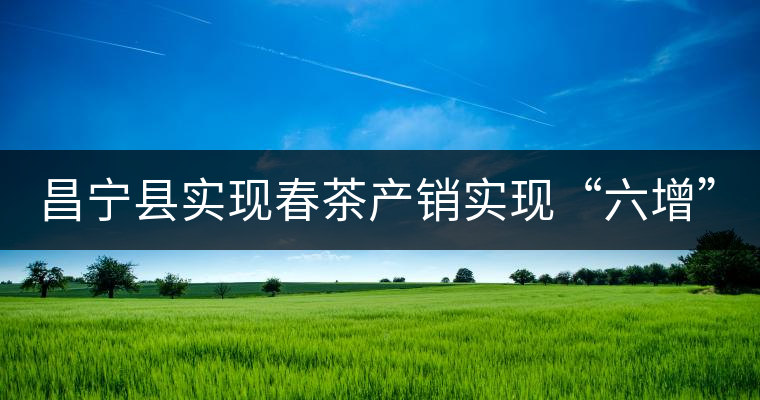 昌寧縣實現(xiàn)春茶產(chǎn)銷實現(xiàn)“六增” 昌寧縣實現(xiàn)春茶產(chǎn)銷實現(xiàn)“六增”