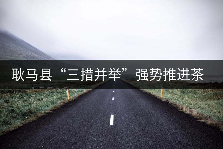 耿馬縣“三措并舉”強(qiáng)勢(shì)推進(jìn)茶葉產(chǎn)業(yè)的發(fā)展 耿馬縣“三措并舉”強(qiáng)勢(shì)推進(jìn)茶葉產(chǎn)業(yè)的發(fā)展