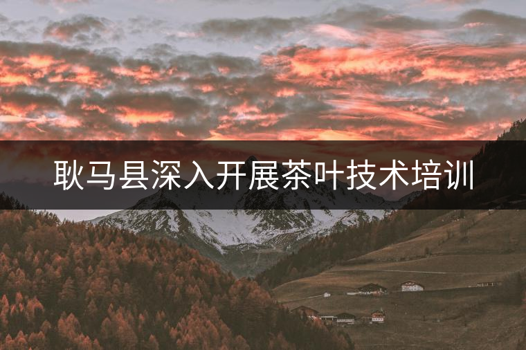 耿馬縣深入開展茶葉技術(shù)培訓(xùn)