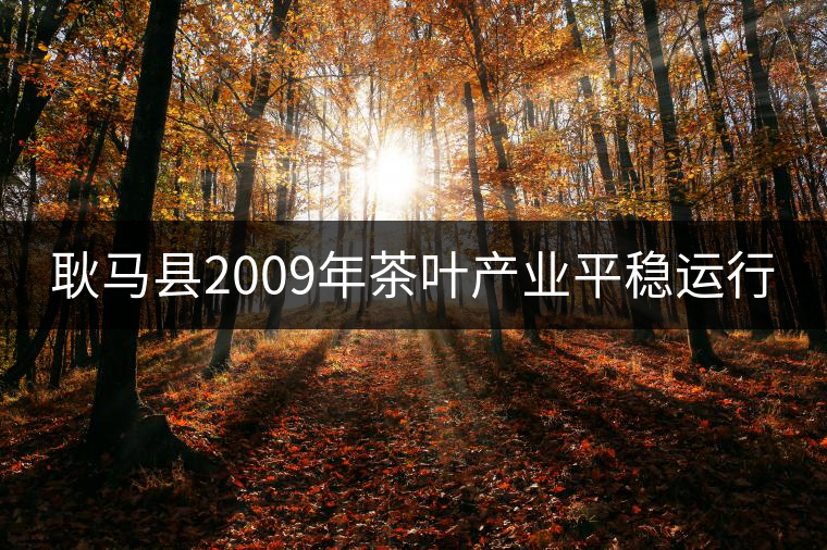 耿馬縣2009年茶葉產(chǎn)業(yè)平穩(wěn)運(yùn)行 耿馬縣2009年茶葉產(chǎn)業(yè)平穩(wěn)運(yùn)行