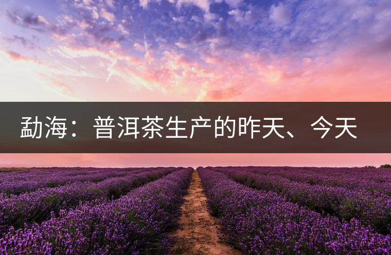 勐海：普洱茶生產(chǎn)的昨天、今天、明天