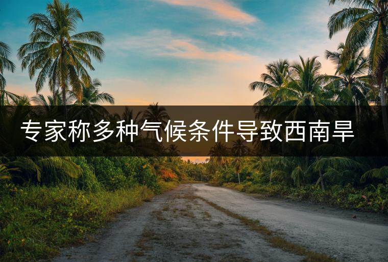 專家稱多種氣候條件導(dǎo)致西南旱情 專家稱多種氣候條件導(dǎo)致西南旱情