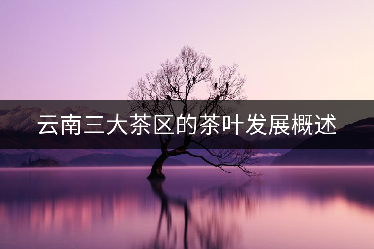 云南三大茶區(qū)的茶葉發(fā)展概述