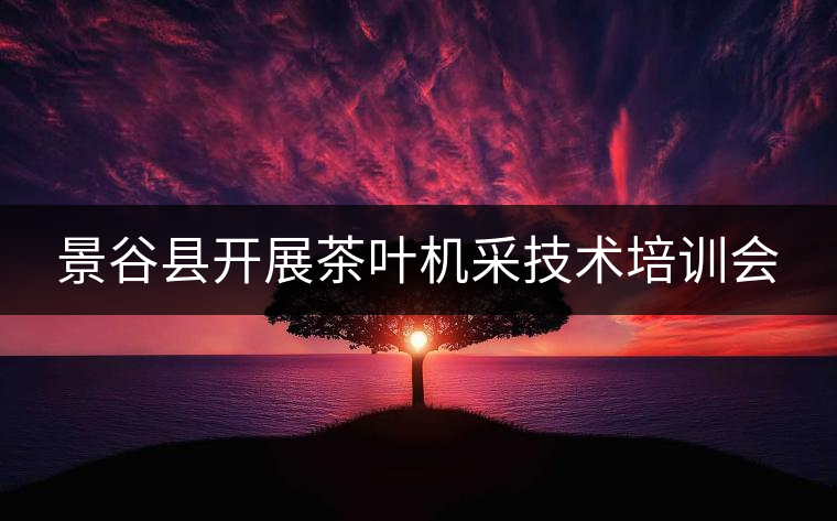 景谷縣開展茶葉機采技術培訓會