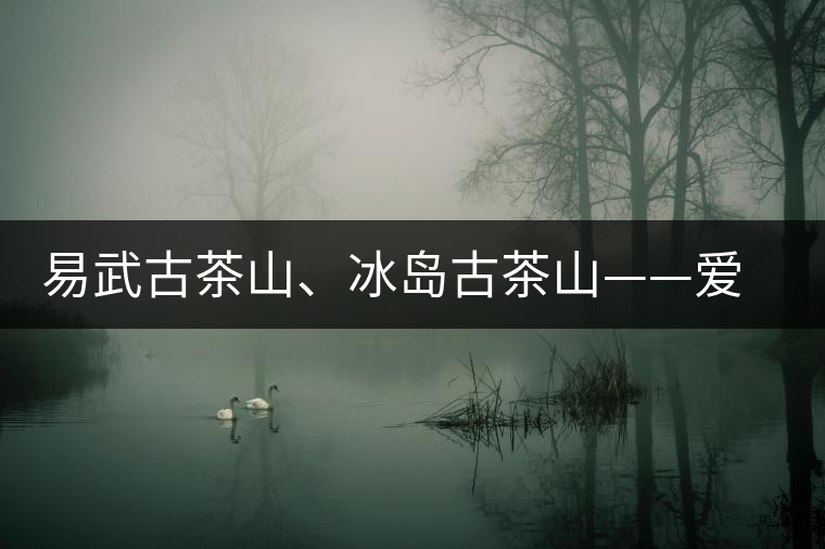 易武古茶山、冰島古茶山——愛茶人的旅游選擇