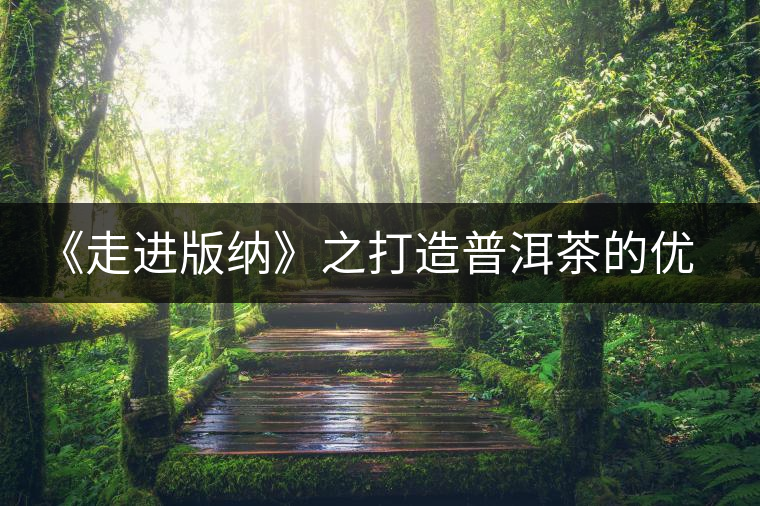 《走進版納》之打造普洱茶的優(yōu)質(zhì)基地 《走進版納》之打造普洱茶的優(yōu)質(zhì)基地