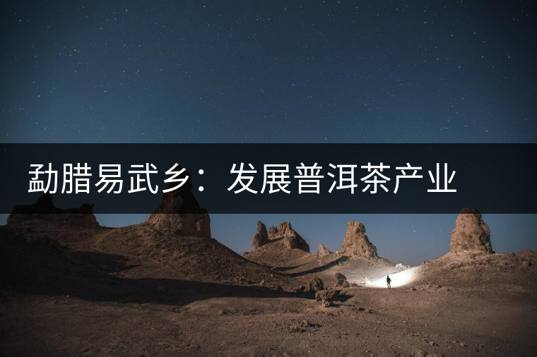 勐臘易武鄉(xiāng)：發(fā)展普洱茶產(chǎn)業(yè)  打造“中國(guó)貢茶第一鎮(zhèn)”