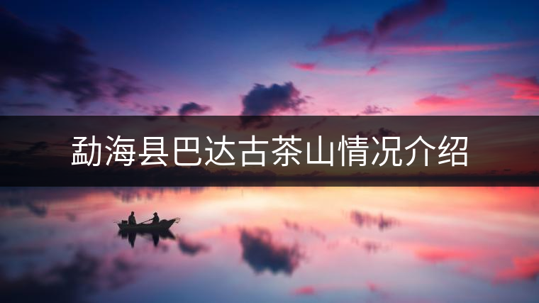 勐?？h巴達(dá)古茶山情況介紹